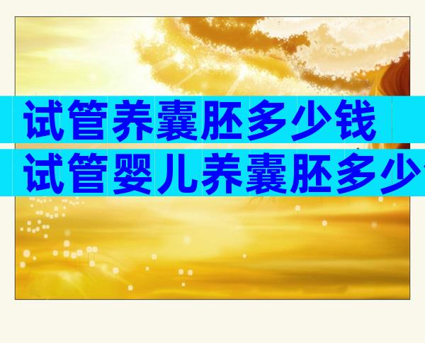 试管养囊胚多少钱 试管婴儿养囊胚多少钱